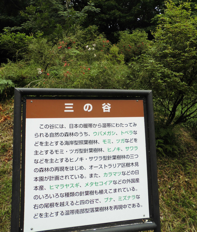 Cimg1328 Cimg1328