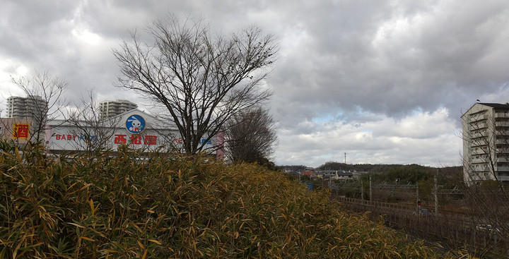 Dsc_0005 Dsc_0005