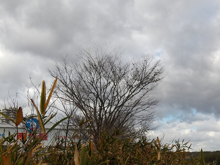 Dsc_0006 Dsc_0006