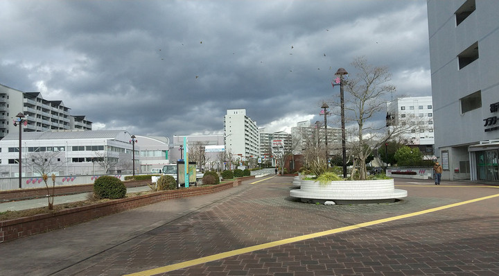 Dsc_0008 Dsc_0008