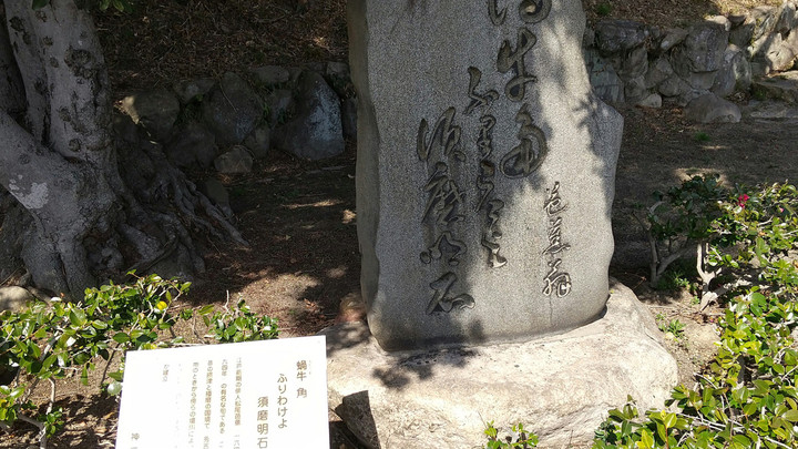 夢は枯野を―芭蕉・蕪村からうけついだもの - | 9784816106903