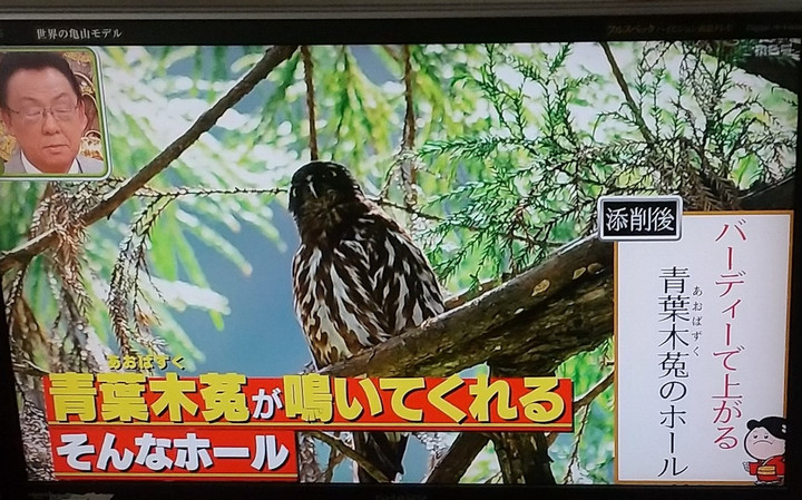 俳句 HAIKU : 《帰省・青葉木菟》永世名人の俳句の添削・推敲 俳句 HAIKU : 《帰省・青葉木菟》永世名人の俳句の添削・推敲