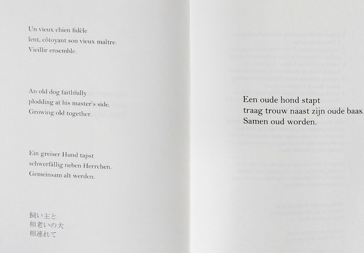 俳句 HAIKU : 「言葉の力」・「俳句の力」《癒し》