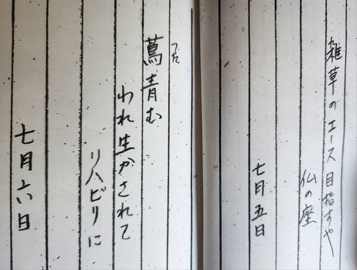 俳句 HAIKU : 手作りの句集「入院35日」