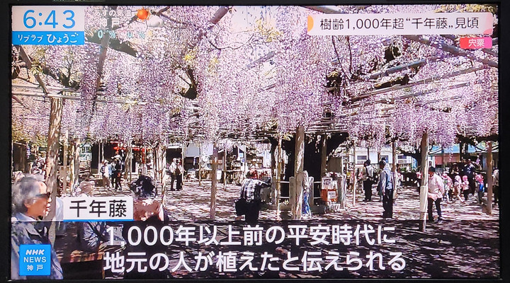 20250430_184325