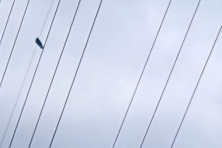 20250504_115758_4