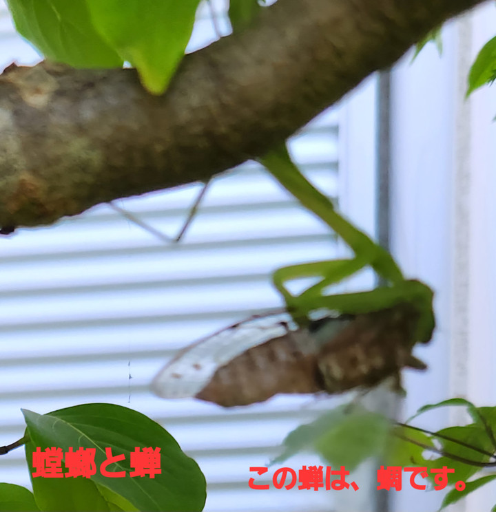 20250729_070124