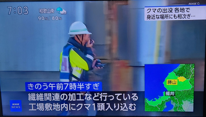 20251109_070323 20251109_070323