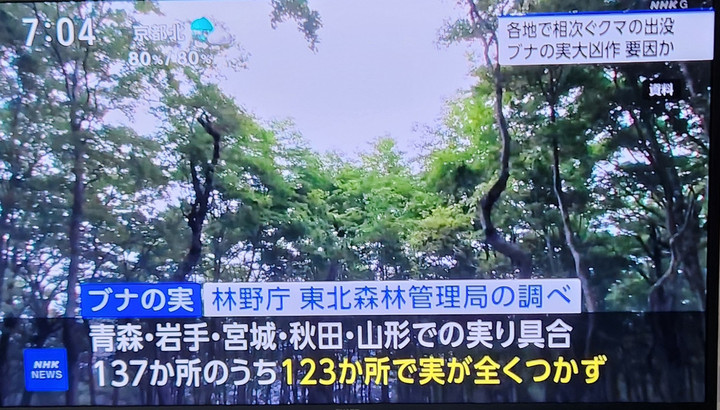 20251109_070446 20251109_070446