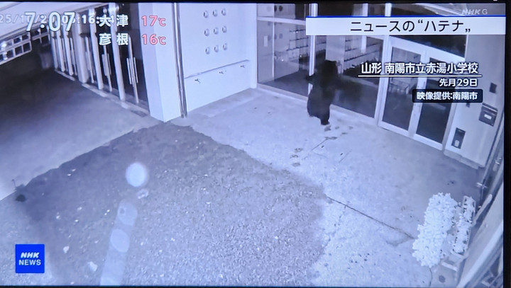 20251110_070745 20251110_070745