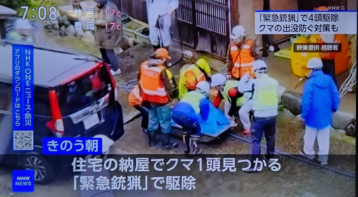 20251111_070849 20251111_070849