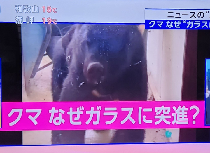 20251111_071049 20251111_071049