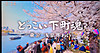 20250427_082410