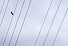 20250504_115758_4
