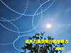 20250713_150337