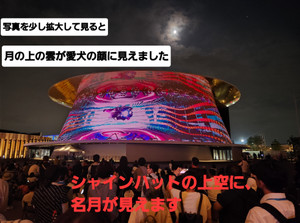 20251007_201224 20251007_201224