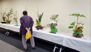 20251103_133527 20251103_133527