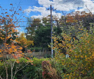 20251122_125720 20251122_125720