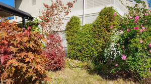 20251122_132345 20251122_132345