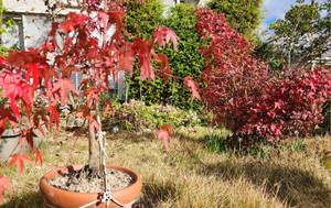 20251122_132928_2 20251122_132928_2