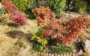 20251122_132957 20251122_132957