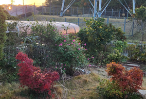 20251123_065442_2 20251123_065442_2