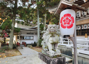 20251203_100347 20251203_100347