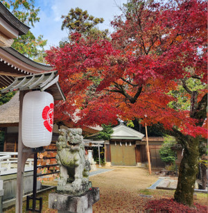 20251203_100358 20251203_100358