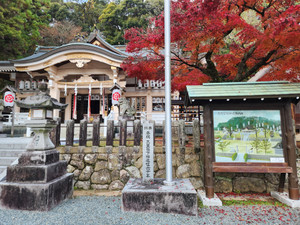 20251203_102439 20251203_102439