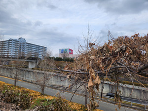 20251208_155128_2 20251208_155128_2