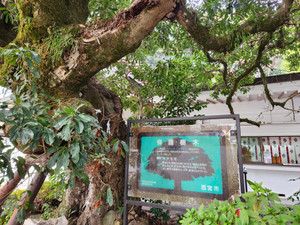 20251203_095350 20251203_095350