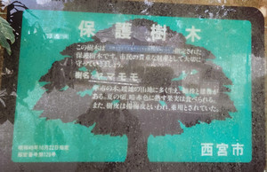 20251203_095949 20251203_095949