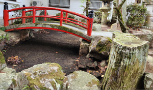 20251203_100106_2 20251203_100106_2