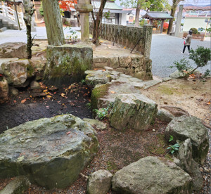 20251203_100234 20251203_100234