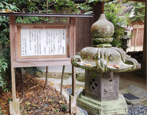 20251203_101435 20251203_101435