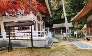 20251203_101629 20251203_101629